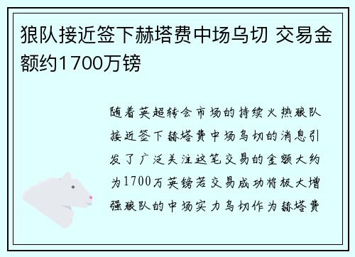 狼队接近签下赫塔费中场乌切 交易金额约1700万镑